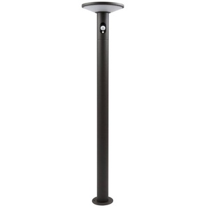 HEITRONIC LED Solarleuchte Karina, Ein-/Ausschalter, LED fest integriert, Warmweiß, Solar-Wand-Außenlampe,kein Stromanschluss,+Bewegungsmelder