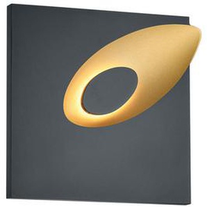 Helestra Led-Wandleuchte Tail , Schwarz, Gold , Metall , 20x21 cm , Lampen & Leuchten, Innenbeleuchtung, Wandleuchten