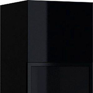 Helvetia Hängevitrine Helio Höhe 91 cm