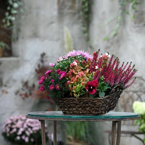 Herbst-Set 1 - grün -