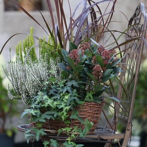 Herbst-Set 4 - weiß -