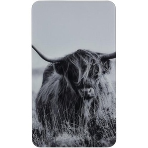 Herdabdeckplatte Universal Highland Cattle 2er Set, für alle Herdarten, Mehrfarbig, Gehärtetes Glas mehrfarbig, Kunststoff (tpe) hellgrau, Kunststoff