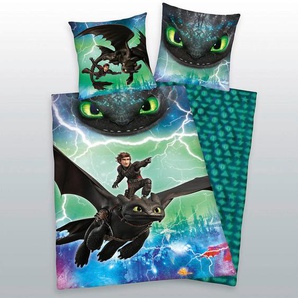 Herding Jugendbettwäsche Dragons, Mehrfarbig, Textil, 135x200 cm, Oeko-Tex® Standard 100, schadstoffgeprüft, 100% feinster Baumwollsatin mit