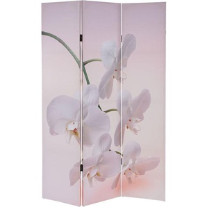 HHG - Foto-Paravent Bagheria, Paravent Raumteiler Spanische Wand 180x120cm MVG-zertifiziert Orchidee