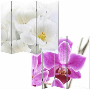HHG - Foto-Paravent Paravent Raumteiler Spanische Wand Bagheria 180x200cm, Orchidee