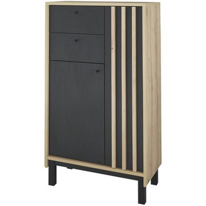 Highboard  Vogelstangsee ¦ schwarz ¦ Maße (cm): B: 60 H: 106 T: 32.0