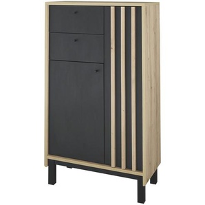 Highboard  Vogelstangsee ¦ schwarz ¦ Maße (cm): B: 60 H: 106 T: 32