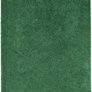 Hochflor Shaggyteppich Swirls Grün 120x170 cm - Langflor Teppich für Wohnzimmer