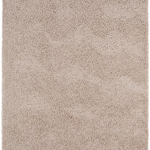 Hochflor Shaggyteppich Swirls Taupe 120x170 cm - Langflor Teppich für Wohnzimmer