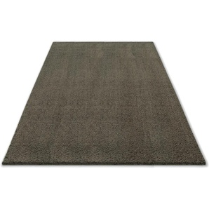 Hochflor-Teppich ANDAS Ilvi Teppiche Gr. B/L: 200 cm x 290 cm, 31 mm, 1 St., braun Esszimmerteppiche extra flauschig, besonders weich durch Mikrofaser, einfarbig,