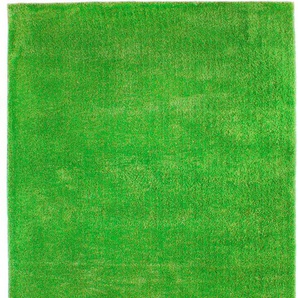 Hochflor-Teppich ANDIAMO Monroe Teppiche Gr. B/L: 160 cm x 230 cm, 25 mm, 1 St., grün (hellgrün) Esszimmerteppiche besonders weich durch Microfaser, Wohnzimmer