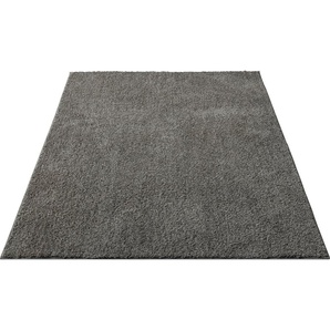 Hochflor-Teppich Andor, my home, rechteckig, Höhe: 25 mm, weiche Haptik, Mikrofaser, mit Anti-Rutsch-Unterseite