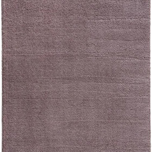 Hochflor-Teppich ASTRA New Livorno Teppiche Gr. B/L: 160 cm x 230 cm, 30 mm, 1 St., lila (mauve) Esszimmerteppiche
