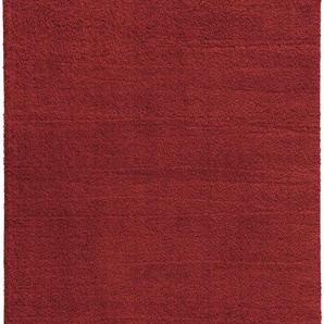 Hochflor-Teppich ASTRA New Livorno Teppiche Gr. B/L: 160 cm x 230 cm, 30 mm, 1 St., rot Esszimmerteppiche Kurzflor, Wohnzimmer