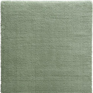 Hochflor-Teppich ASTRA New Livorno Teppiche Gr. B/L: 200 cm x 290 cm, 30 mm, 1 St., grün (hellgrün) Esszimmerteppiche Kurzflor, Wohnzimmer