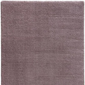 Hochflor-Teppich ASTRA New Livorno Teppiche Gr. B/L: 200 cm x 290 cm, 30 mm, 1 St., lila (mauve) Esszimmerteppiche Kurzflor, Wohnzimmer