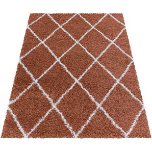 Hochflor-Teppich AYYILDIZ TEPPICHE ALVOR 3401 Teppiche Gr. B/L: 280 cm x 370 cm, 50 mm, 1 St., orange (terra) Esszimmerteppiche Wohnzimmer