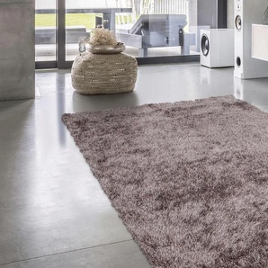 Hochflor-Teppich CALO-DELUXE Masada 900 Teppiche Gr. B/L: 120 cm x 170 cm, 40 mm, 1 St., grau (taupe) Esszimmerteppiche Wohnzimmer
