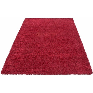 Ayyildiz Teppiche Hochflor-Teppich Dream Shaggy, rechteckig, Höhe: 50 mm, Langflor, auch in rund, Läufer, Wohnzimmer Schlafzimmer