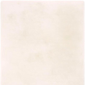 Hochflor-Teppich HOME AFFAIRE Nerja Teppiche Gr. B/L: 120 cm x 170 cm, 35 mm, 1 St., beige Esszimmerteppiche Uni Farben, besonders kuschelig und weich durch Microfaser