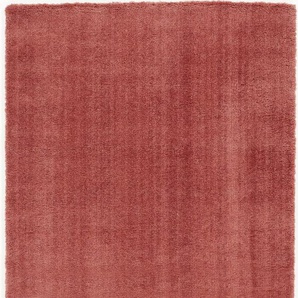 Hochflor-Teppich OCI DIE TEPPICHMARKE Soft Dream Teppiche Gr. B/L: 140 cm x 200 cm, 30 mm, 1 St., rot (rosenholz) Esszimmerteppiche