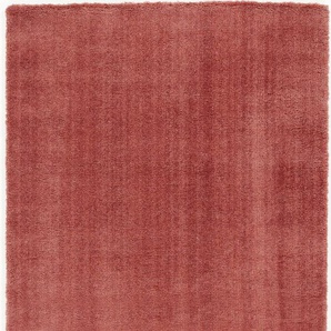 Hochflor-Teppich OCI DIE TEPPICHMARKE Soft Dream Teppiche Gr. B/L: 200 cm x 290 cm, 30 mm, 1 St., rot (rosenholz) Esszimmerteppiche besonders weich durch Microfaser, Wohnzimmer