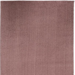 Hochflor-Teppich OCI DIE TEPPICHMARKE Soft Dream Teppiche Gr. B/L: 240 cm x 290 cm, 30 mm, 1 St., braun Esszimmerteppiche