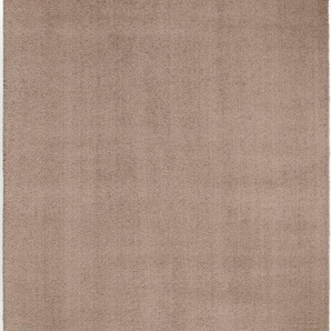 Hochflor-Teppich OCI DIE TEPPICHMARKE Soft Dream Teppiche Gr. B/L: 240 cm x 340 cm, 30 mm, 1 St., beige Esszimmerteppiche besonders weich durch Microfaser, Wohnzimmer