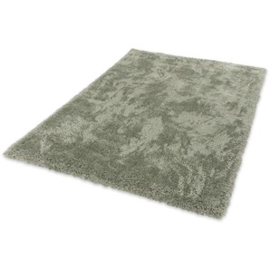 Hochflor-Teppich SCHÖNER WOHNEN-KOLLEKTION Heaven Teppiche Gr. B/L: 200 cm x 290 cm, 50 mm, 1 St., grün (salbeigrün) Esszimmerteppiche besonders weich durch Microfaser, Wohnzimmer