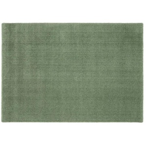 Hochflorteppich - grün - Synthetische Fasern - 240 cm - 3 cm | Möbel Kraft