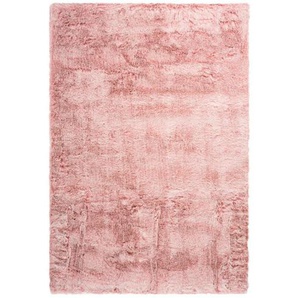 Hochflorteppich, Rosa, Textil, 80x150 cm, pflegeleicht, Teppiche & Böden, Teppiche, Hochflorteppiche & Shaggys