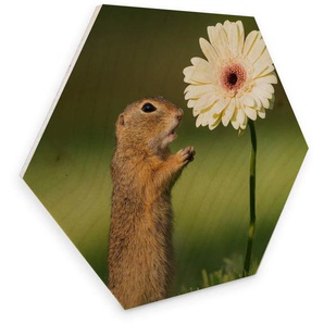 Holzbild WALL-ART Eichhörnchen Blumen Bilder Gr. B/H/T: 75 cm x 1 cm x 65 cm, -, 1 St., bunt (mehrfarbig) Holzbilder