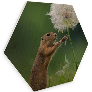 Holzbild WALL-ART Eichhörnchen Blumen Bilder Gr. B/H/T: 75 cm x 1 cm x 65 cm, -, 1 St., bunt (mehrfarbig) Holzbilder