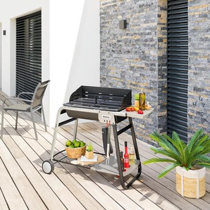 Holzkohlegrill Azur pro L. 120 cm - Stahl Hespéride
