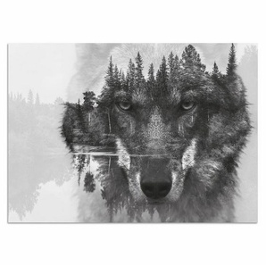 Home affaire Acrylglasbild Wolf, 60/40 cm