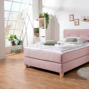 Home affaire Boxspringbett »Fargo«, inkl. Topper, in 3 Matratzenarten, in Samt- oder Strukturstoff
