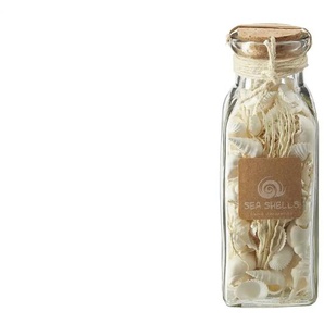 HOME STORY Muschelmix im Glas - creme - Naturprodukte,Glas - 6,5 cm - 19 cm - cm 6,5 | Möbel Kraft