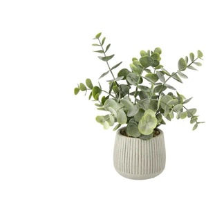 HOME STORY Sukkulente getopft - grün - Kunststoff,Zement,Stein - 22 cm - 9.5 | Möbel Kraft