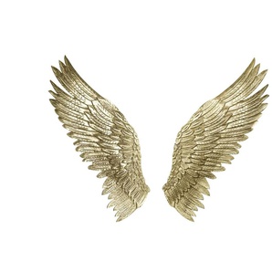 HOME STORY Wandobjekt Flügel 2er-Set - gold - Metall - 37,5 cm - 90,2 cm - cm 3,8 | Möbel Kraft