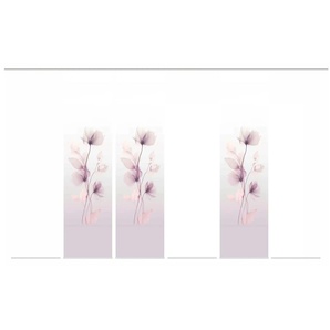 HOME Wohnideen Schiebevorhang - lila/violett - Synthetik - 60 cm - 245 cm | Möbel Kraft