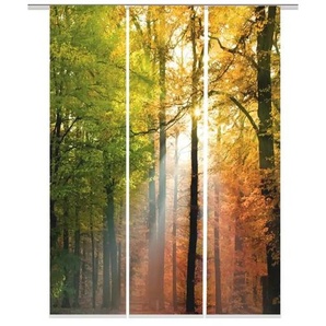 HOME Wohnideen Schiebevorhang - mehrfarbig - Materialmix - 60 cm - 245 cm | Möbel Kraft