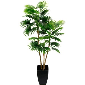 Kunstbaum I.GE.A. Fächerpalme Kunstpflanzen Gr. B/H: 45 cm x 105 cm, grün Kunst-Bäume Im konischen Topf