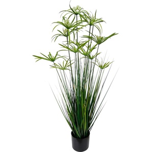 Kunstpflanze I.GE.A. Zyperngras im Topf Kunstpflanzen Gr. B/H: 35 cm x 120 cm, grün Künstliche Zimmerpflanzen