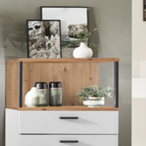 Ideal Basset Vitrine Type 01
