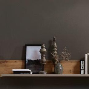 Innostyle Fun Plus II Wandboard Basalt/Eiche Altholz Grau/Braun