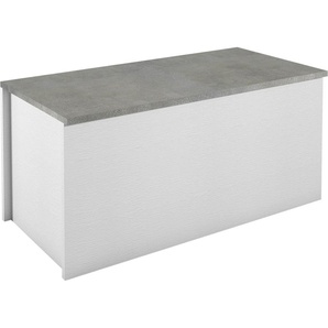 Truhe INOSIGN Container Truhen Gr. B/H/T: 90 cm x 45 cm x 45 cm, weiß (weiß, beton) Truhe