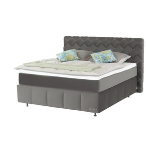 Jette Home Boxspringbett  Braid  ¦ grau ¦ Maße (cm): B: 202 H: 123