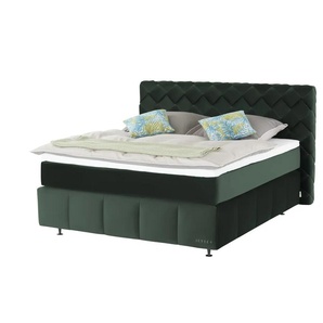Jette Home Boxspringbett  Braid  ¦ grün ¦ Maße (cm): B: 202 H: 123