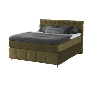Jette Home Boxspringbett  Glam New ¦ grün ¦ Maße (cm): B: 202 H: 132,5