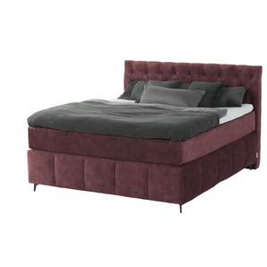 Jette Home Boxspringbett Glam New - rot - Materialmix - 182 cm - 132,5 cm | Möbel Kraft